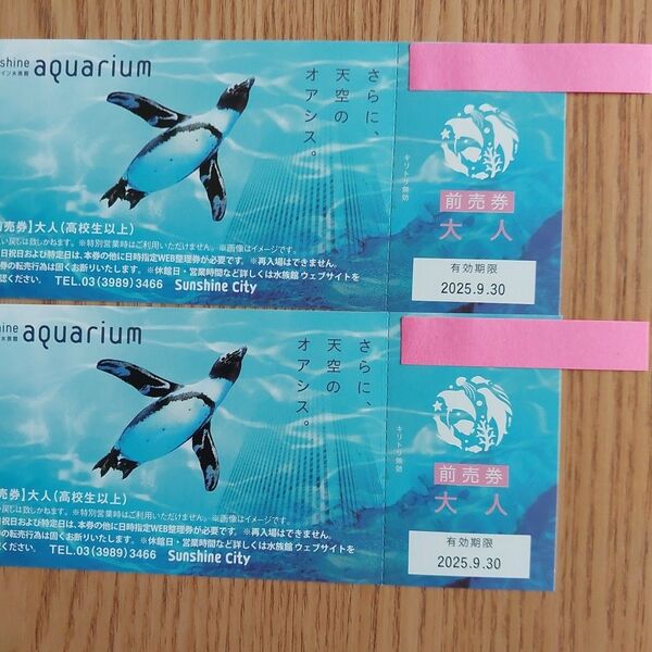 サンシャイン水族館 チケット 大人2枚