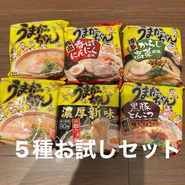 ハウス食品 うまかっちゃん 5種 お試しセット 6袋セット