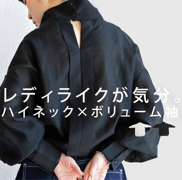 antiqua アンティカ バックデザインシャツ ハイネック レディース トップス シアー シャツ ブラウス 長袖