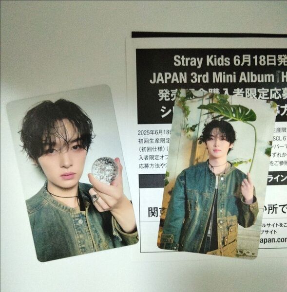 スキズ トレカ リノ Stray Kids Hollow 初回A