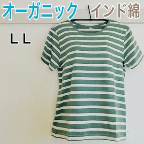新品 オーガニック インド綿 半袖 Tシャツ 綿100% 生成×グリーン LL