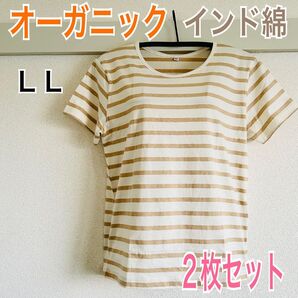 新品 オーガニック インド綿 Tシャツ 綿100% ベージュ LL 2枚セット