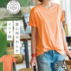 新品 インド綿 半袖 Tシャツ 綿100% 3Lサイズ アプリコット