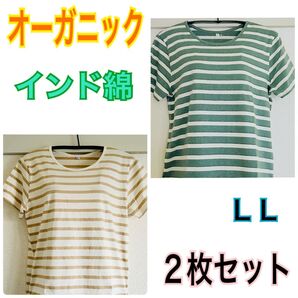 新品 オーガニック インド綿 Tシャツ 綿100% 2色 LL 2枚セット