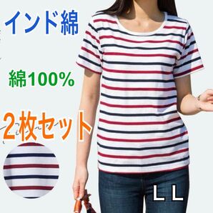 新品 インド綿 半袖 Tシャツ 綿100% LLサイズ トリコロール 2枚セット