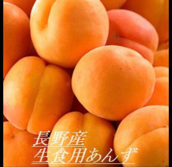あんず 生あんず 杏 新鮮フルーツ 旬のフルーツ 果物 5 Kg お得 大量 家庭用 業務用