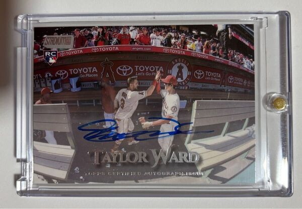 【おまけ&マグホ付き!】大谷翔平&taylor Ward ハイタッチシーン 直筆サイン 2019 stadium club