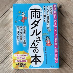雨ダルさんの本 佐藤純 文響社