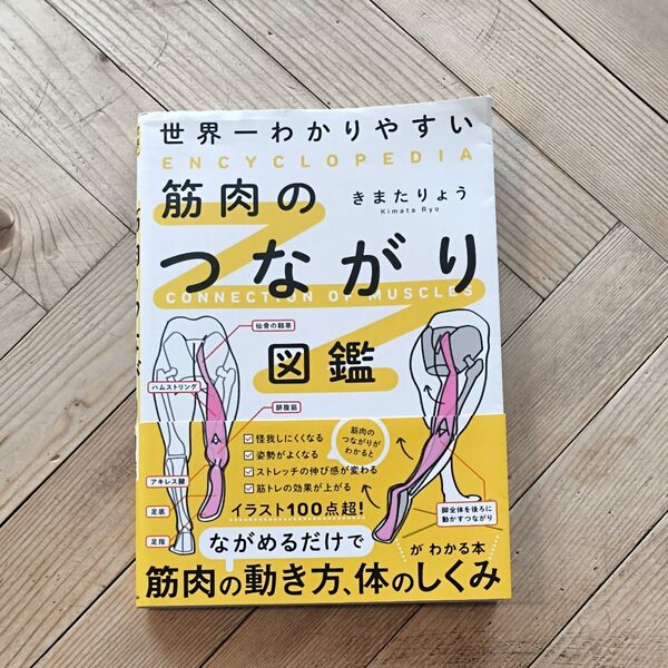 世界一わかりやすい筋肉のつながり図鑑 きまたりょう/著