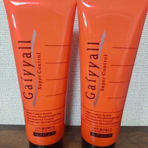 Gayyall スーパーコントロール ヘアパック 2個セット