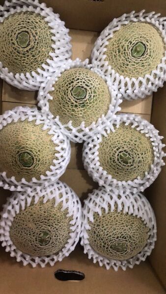 151.数量限定 赤肉メロン秀品6-8玉入り満杯