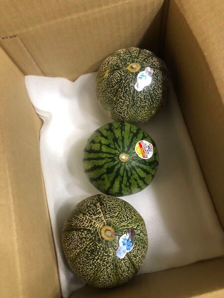500.早勝ちお買い得数量限定小玉すいか1玉+青肉小玉メロン2玉入り