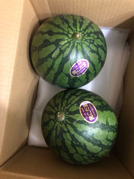 379.数量限定希少黄肉小玉西瓜スイカ2玉入り箱込み約2.5Kg前後