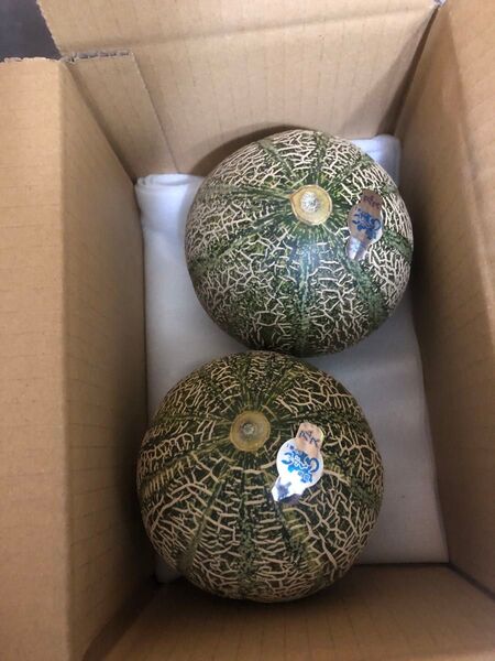 995.お買い得早勝ち小青肉メロン2玉入り前後品種お任せ