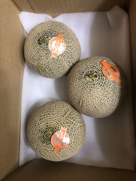 381.お買い得数量限定 早勝ち小赤肉メロン秀品3玉入り 品種お任せ