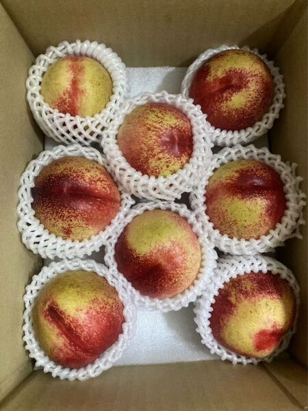 567.ネクタリン 油桃 箱込み1.3〜1.4kg 常温発送