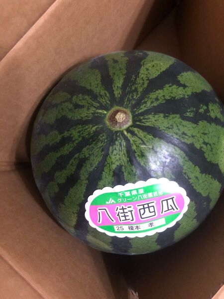 580.数量限定西瓜1玉入り約3.3-3.7Kg