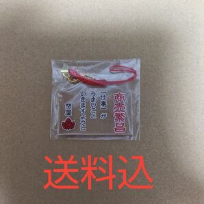 トントン 天落記 絵馬根付
