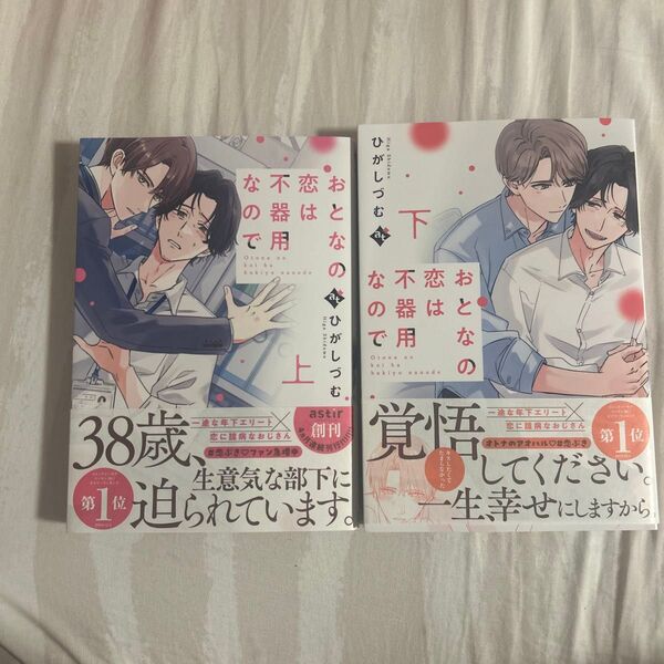 おとなの恋は不器用なので 上下巻セット
