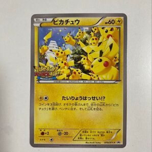 ピカチュウ たいりょうはっせい 070/XY-P プロモ PROMO ポケカ