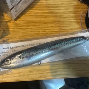 ガンマ 60-180 カーペンター 鯖カラー