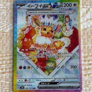 テラスタルフェスex イーブイex SAR