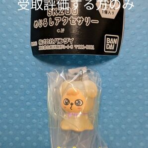 SKZOO めじるしアクセサリー パピーム スンミン ガチャ ガシャポン