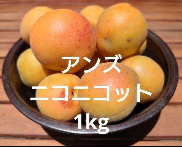 あんず ニコニコット 杏 ジャム コンポート