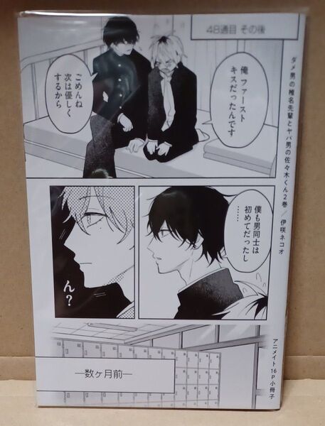 ダメ男の椎名先輩とヤバ男の佐々木くん2 アニメイト16P小冊子 伊咲ネコオ