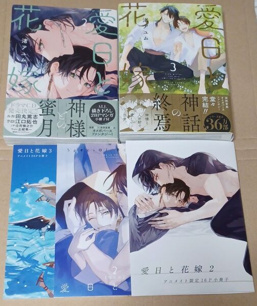 愛日と花嫁2・3 小冊子付 渚アユム