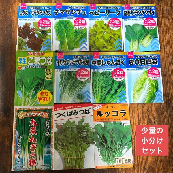 プランター栽培な野菜のタネ 11種類の少量セット 野菜の種