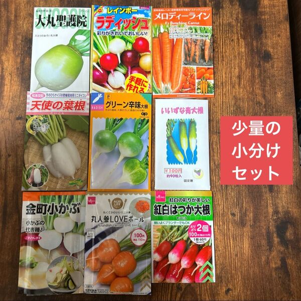 プランター栽培可能な 根菜のタネ 9種類の少量セット 野菜の種