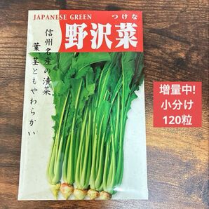 今だけ100粒から120粒まで増量中! 野沢菜 120粒 野菜の種 プランター栽培可能