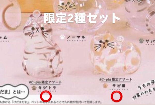 うちの子のけだまだま サビ猫 キジトラ C-pla限定 シープラ限定 ガチャガチャ