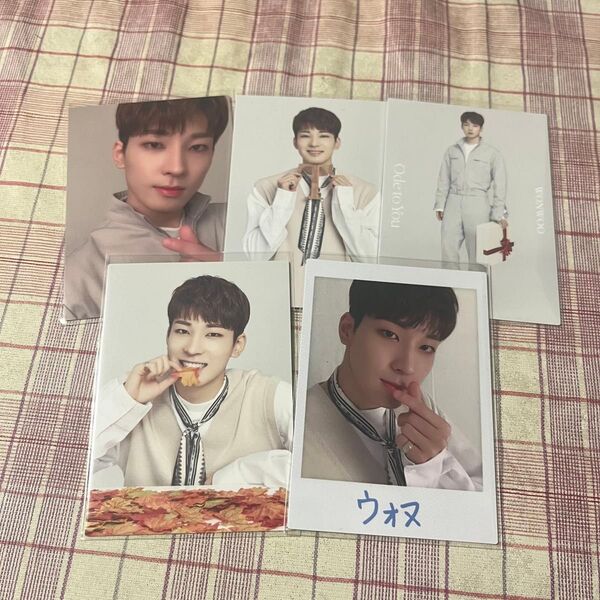 seventeen ode to you ウォヌ セット