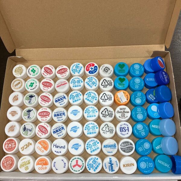 ペットボトルキャップ 77個 おまとめ 漂白洗浄乾燥済み 匿名配送 ハンドメイド材料 素材 工作 フタ