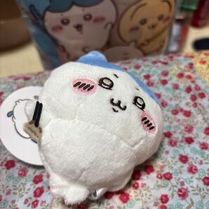 ちいかわ ハチワレ じゃこ天