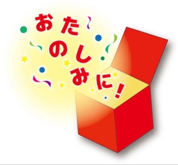 断捨離 福箱 おたのしみ L〜LLサイズ 大きめサイズ 詰め合わせ お買い得 新品未使用あり