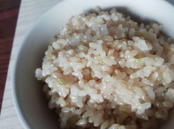 お米10kg 令和6年魚沼産こがねもち玄米
