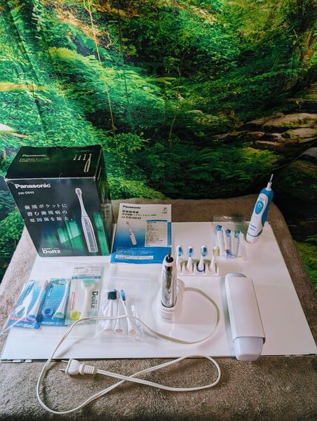 ドルツ EW-DE43 パナソニック おまけブラウン オーラルB 電動歯ブラシ Panasonic Doltz