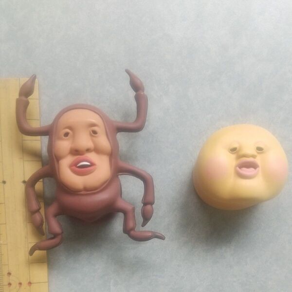 こびとづかんカブトヨソオイカクレモモジリ