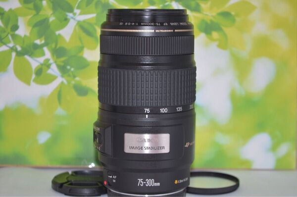 美品 Canon EF 75-300mm IS USM☆望遠レンズ☆フィルター付