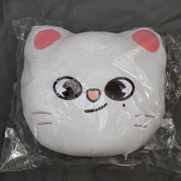 スキズ SKZOO ジニレット クッション ぬいぐるみ