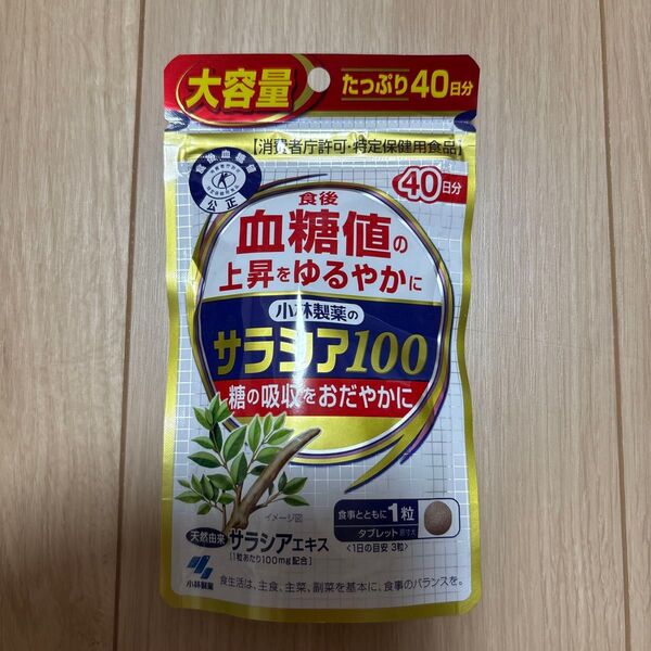 小林製薬 サラシア100 40日分 120粒 送料無料