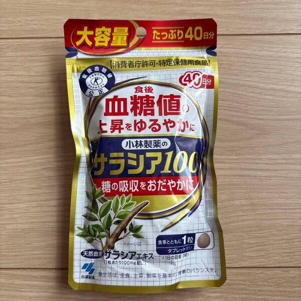 小林製薬 サラシア100 40日分 120粒 送料無料