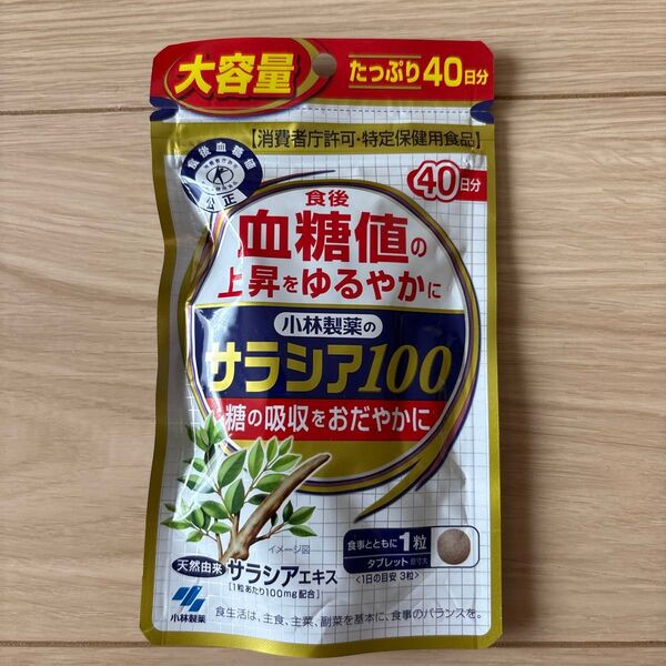 小林製薬 サラシア100 40日分 120粒 送料無料