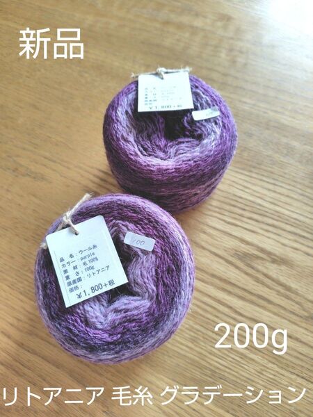 【新品】リトアニア 毛糸 グラデーション 100g・100g 2玉 パープル 編み糸 織り糸