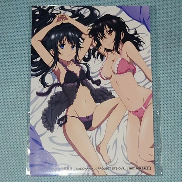 ストライク・ザ・ブラッドⅤ 姫柊雪菜 南宮那月 ブロマイド 童話Ver. オンラインくじ AMNIBUS ストブラ