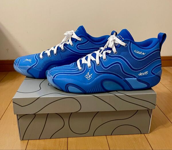 NIKE、Jordan、テイタム3 PF、28.5センチ