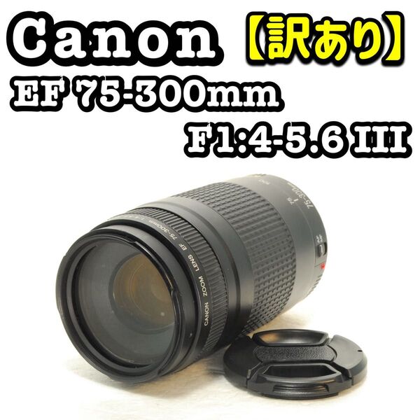 【やや訳あり】Canon EF 75-300mm III USM 望遠レンズ キヤノン デジタル一眼レフカメラ デジタルカメラ